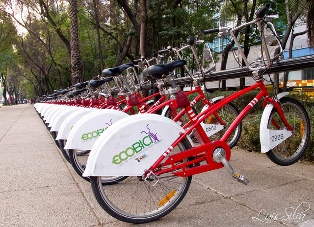 Walk on the Eco Bike