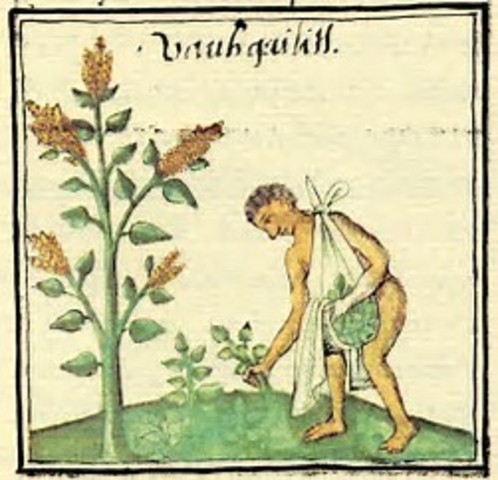 Códice Florentino (en nahuatl)