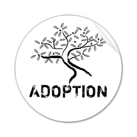 My Official Adoption Date