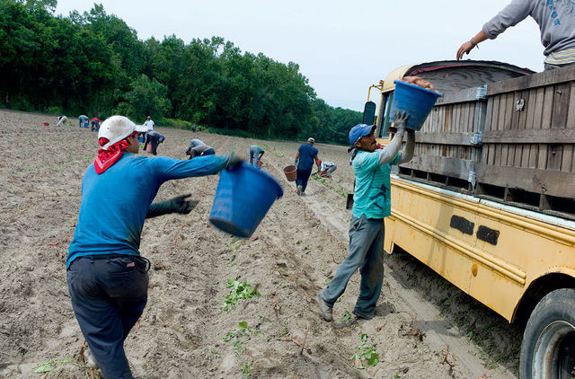 Revolutionized Work in the Fields
