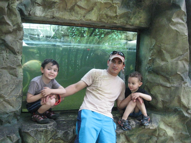 Conociendo las tortugas