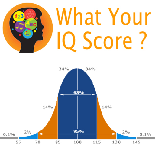 I.Q. Test