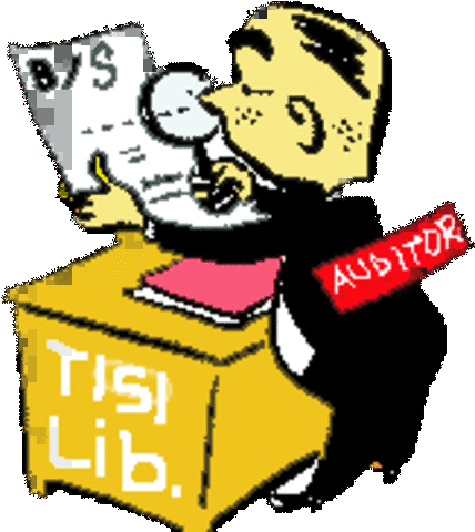 Auditoría al desempeño.