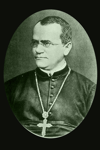 Gregor Mendel