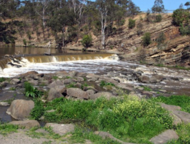 Yarra Falls Roller Flour Mills