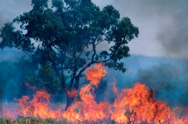 Fire brings down the mill