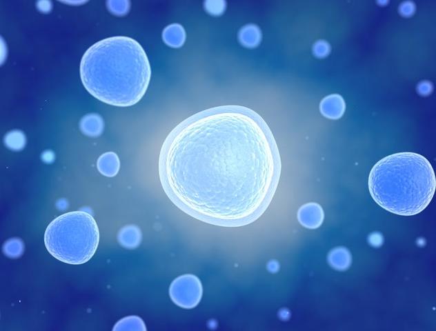 Los hallazgos sobre las células