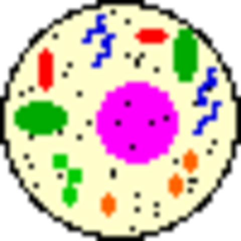 Microelectrode cell was found by Hyde, Ida Henrieta