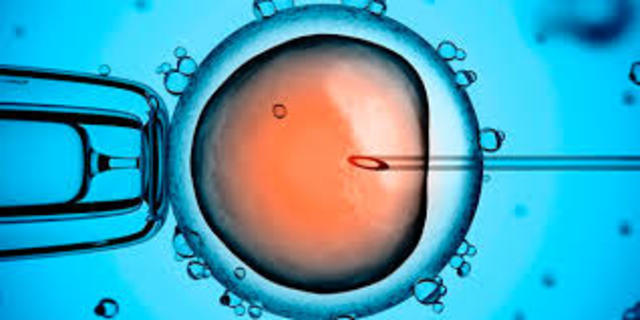 Los nacimientos in vitro