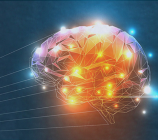 The brain through technology