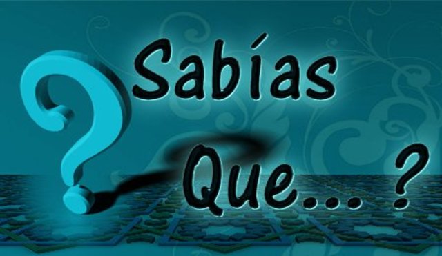 termino "fotografía"