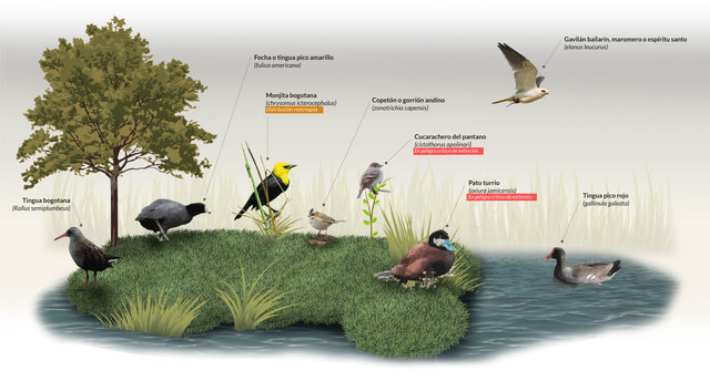 Finales del Siglo XX