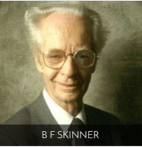 BF Skinner and the Behaviorism Theory
