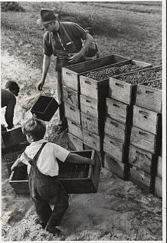 New working conditions