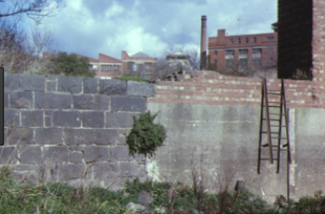 The First Steam Powered Flour Mill