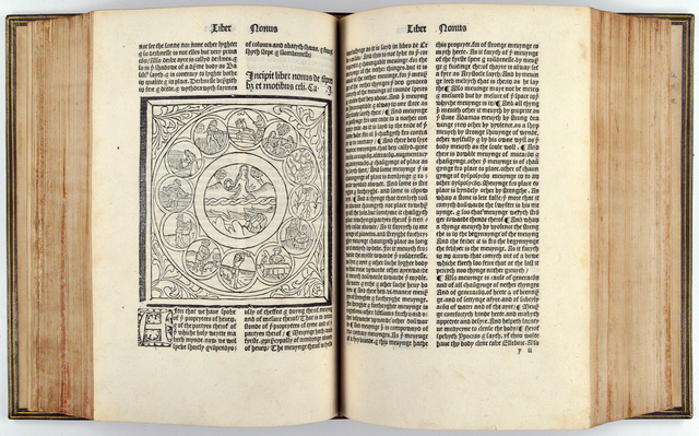 Bartholomaeus Anglicus