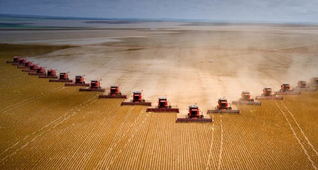 Green Revolution- Intensive Technological Agriculture