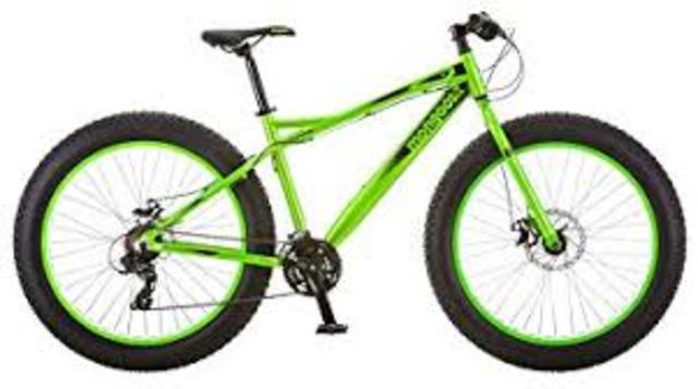 I learned to ride my bike