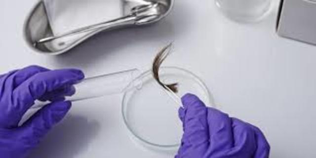 Hair DNA is Used as Evidence