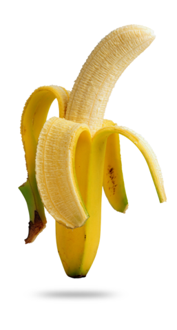 Primera vez que recibió alimento solido