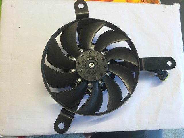 historia del abanico