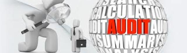 Publica Managment Audit System