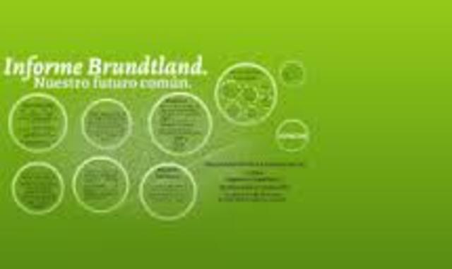 INFORME DE BRUNTLAND