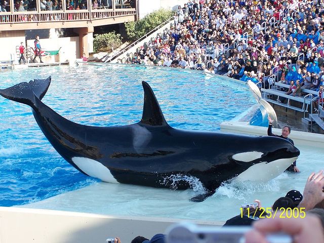 Sea World