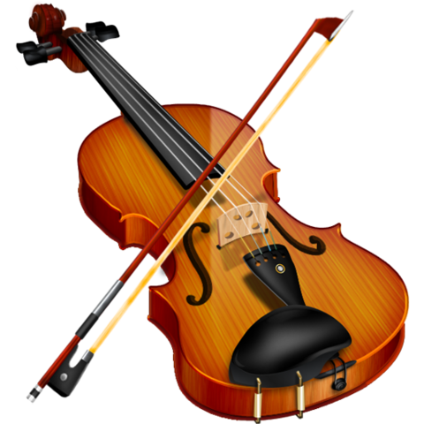 Learned to play Violin - This boosted my love of music. Learned in as a middle school elective