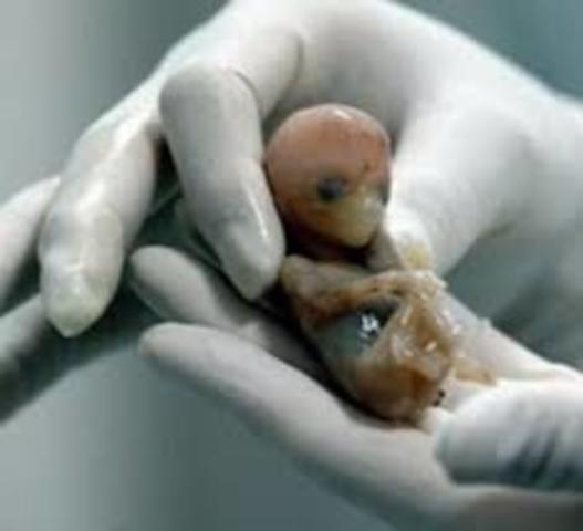 Embriones humanos clonados