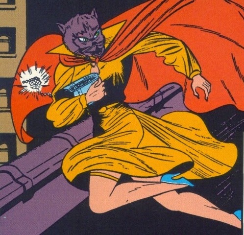 1ª Apa-Catwoman/La Gata (Selina Kyle) de Tierra 2