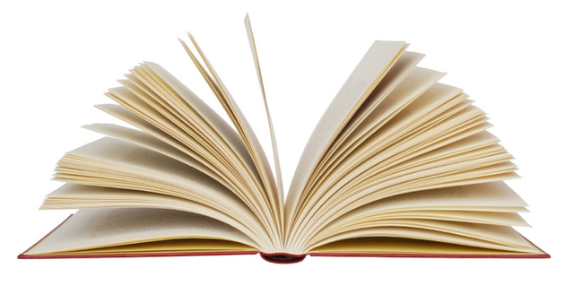 The Principles of Scientific Management (los principios de la administración científica)