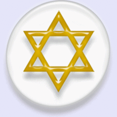 CANTIDAD DE SEGUIDORES