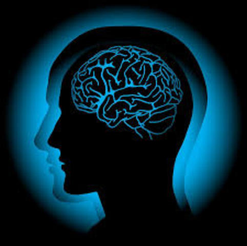 Gestion del conocimiento