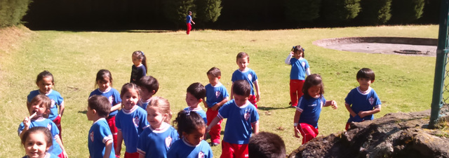 Alcance de la prestación de servicios de educación física aproximado a 8.3 millones.