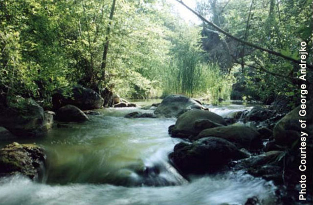 I moved to a different part of Arizona