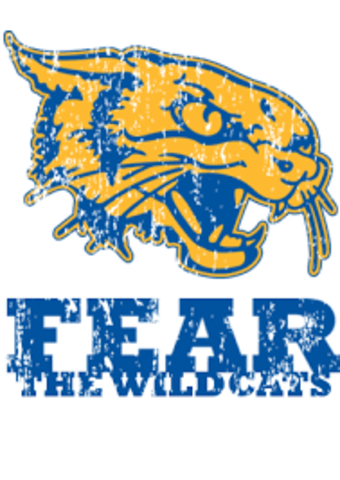 I switched schools once again