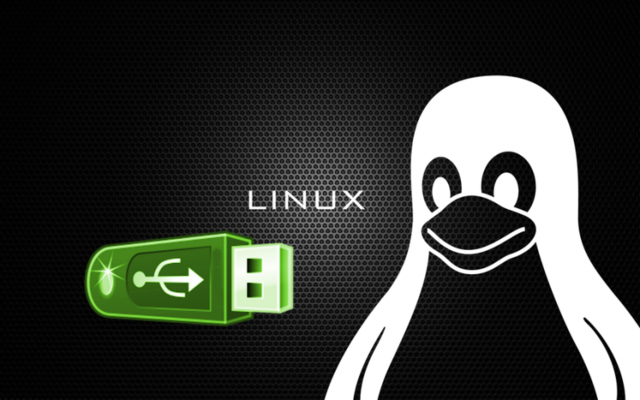 Serie 2.4 del núcleo Linux