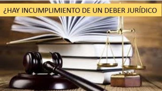 VALORACIÓN DEL CASO