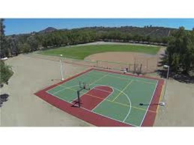 Started basketball and baseball.