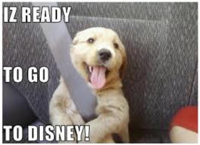 Went to DISNEY WORLD