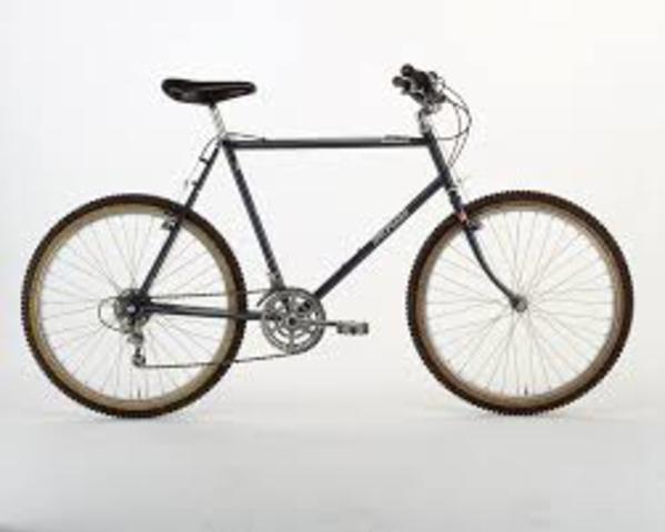 Bicicleta de montaña