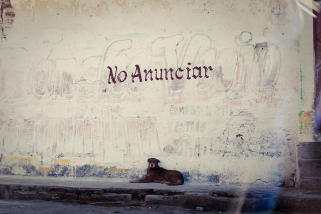 Anuncios de "prohibido anunciarse"