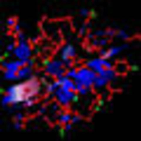 Descubrimiento de la insulina