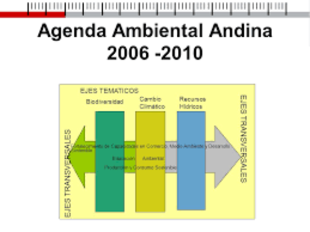 Se aprueba la Agenda Ambiental Andina 2006 - 2010.