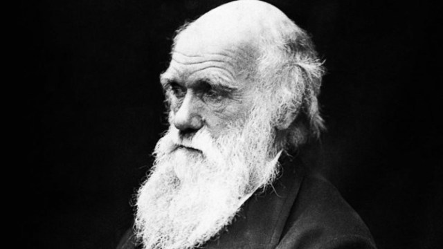 DARWIN