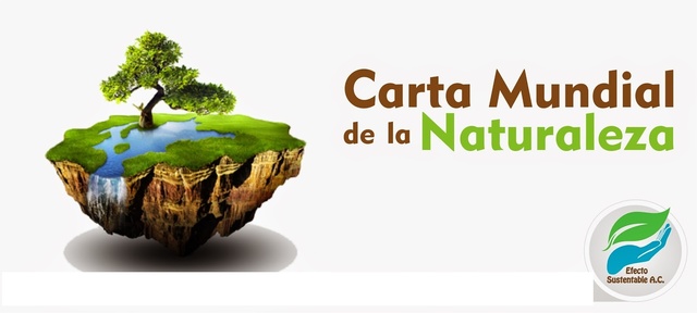 Carta Mundial de la ONU para la Naturaleza