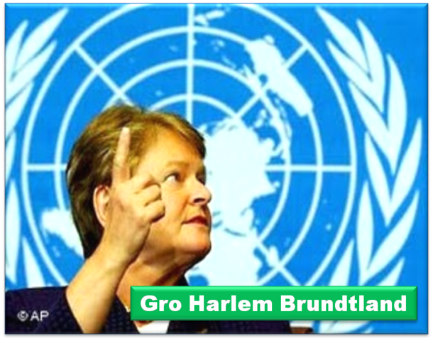 Creación de la Comisión Mundial del Medio Ambiente y el Desarrollo, también conocida como Comisión Brundtland.
