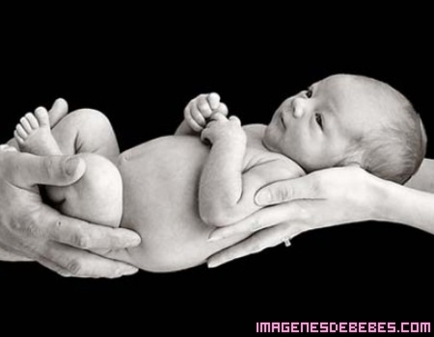 Nacimiento de San Juan Eudes