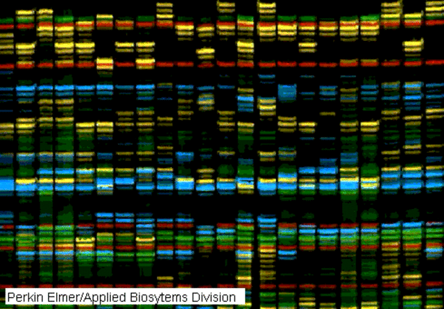 Mapa del génoma humano